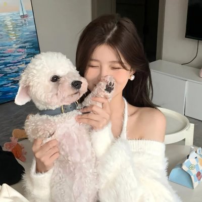 四面三角 海报