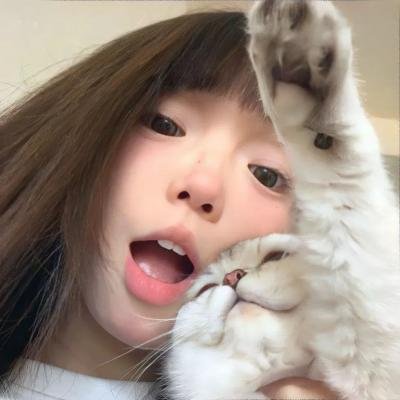 断线森林2 海报